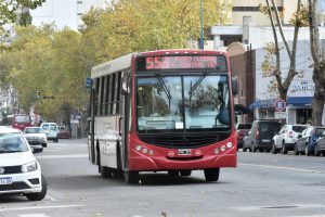 Paro de colectivo para este miércoles  21 de diciembre en Mar del plata