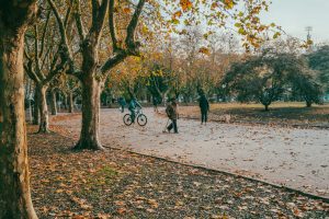 El dispositivo Punto Verde estará presente en plazas de la ciudad