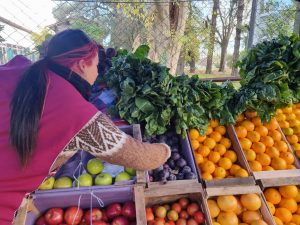 La Feria del Buen Vivir seguirá activa este fin de semana largo