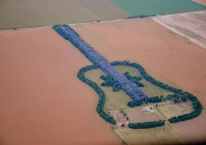 La guitarra de árboles que canta desde el cielo: Una historia de amor en el centro de Argentina