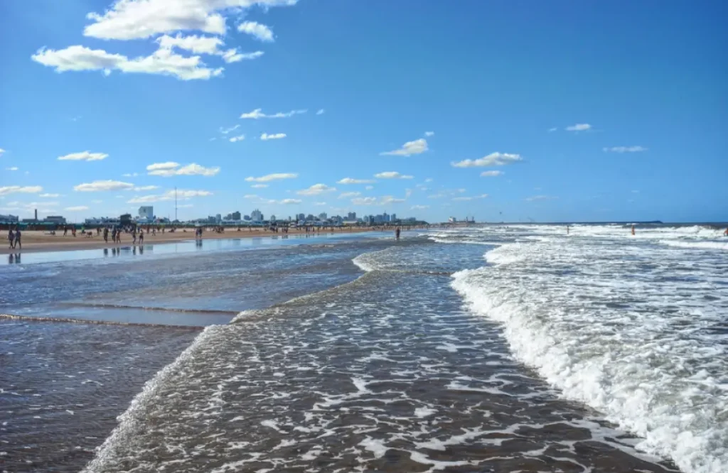 Sortean 100 carpas en balneario de Punta Mogotes 