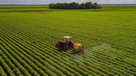 agricultura_argentina.jpg