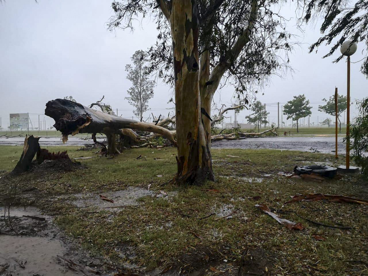 destrozos-tormenta-mar-del-plata.jpg