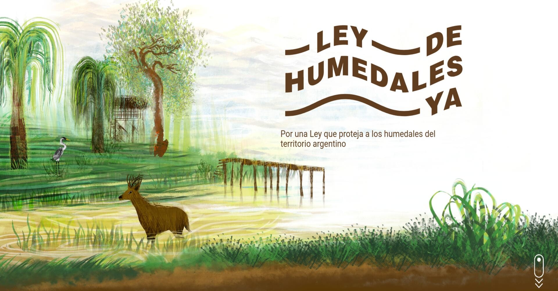 ley de humedales